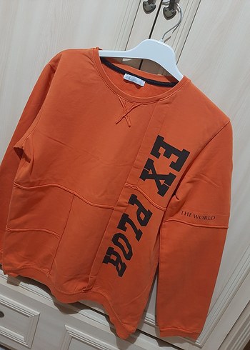 Turuncu Erkek Çocuk Baskılı Sweatshirt - Görsel 2