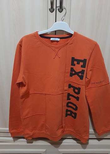 Turuncu Erkek Çocuk Baskılı Sweatshirt - Görsel 4