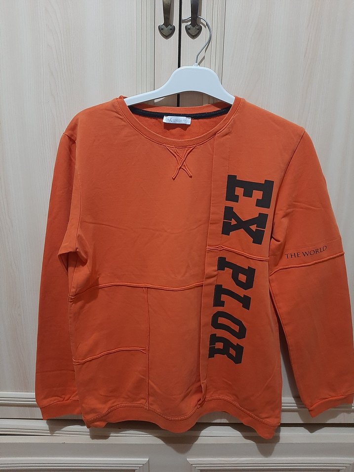 Turuncu Erkek Çocuk Baskılı Sweatshirt - Görsel 4
