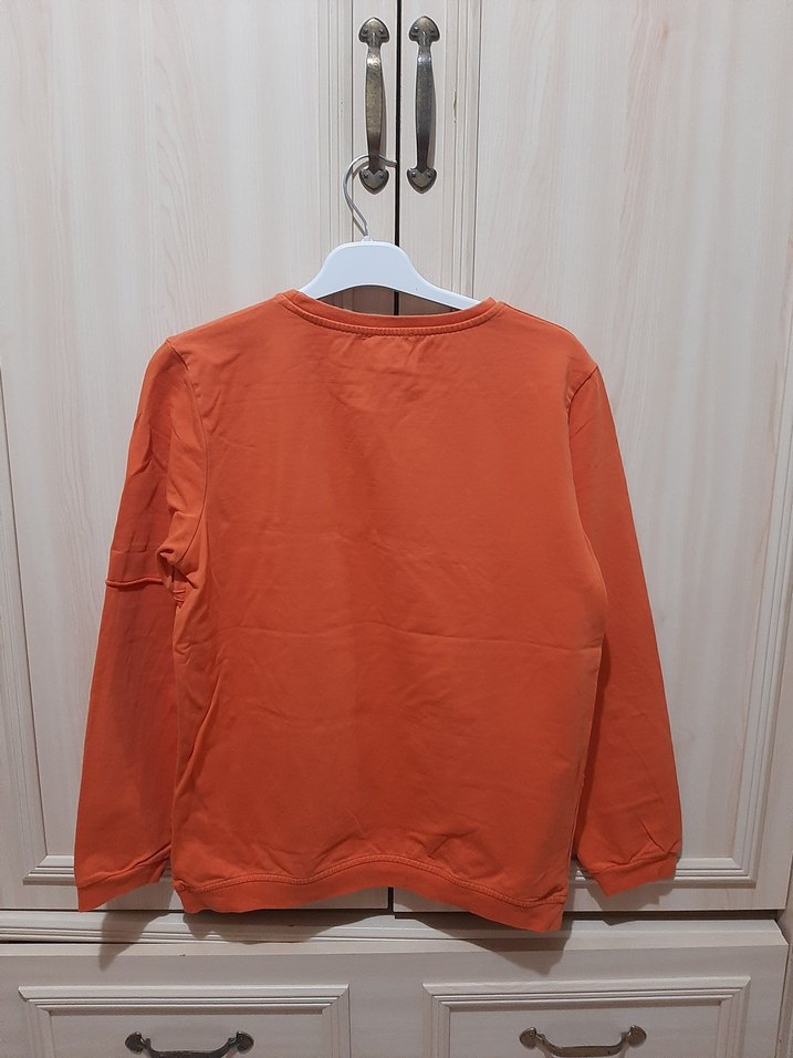 Turuncu Erkek Çocuk Baskılı Sweatshirt - Görsel 5