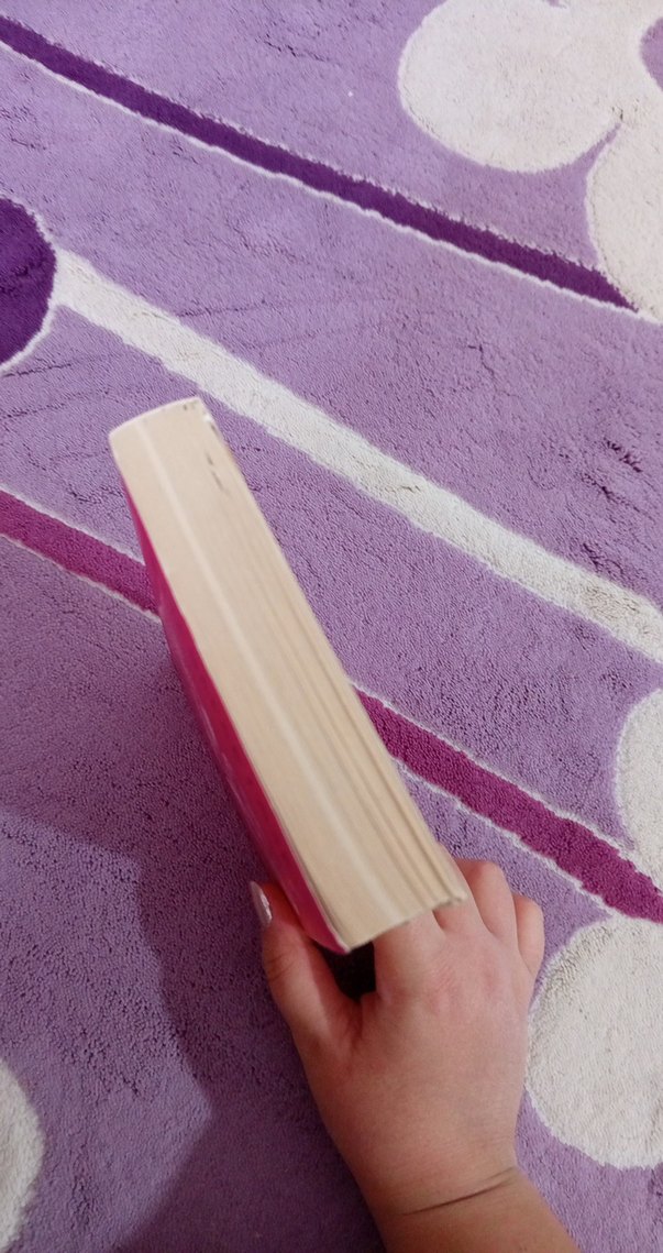 Elif Şafak - Aşk Romanı - Görsel 4