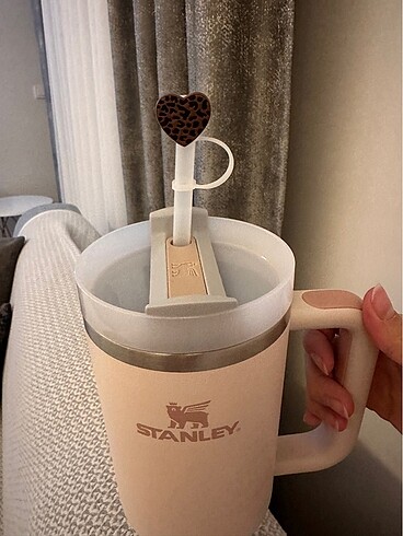 Diğer Stanley pipetli termos