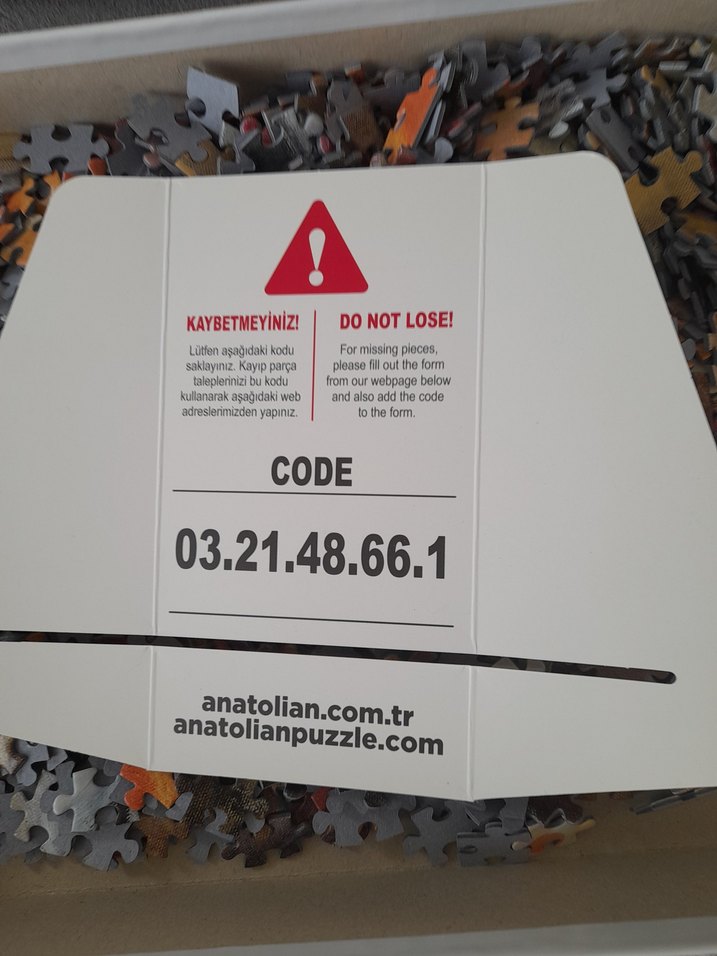 Anatolian 1000 Parça Turuncu Puzzle - Görsel 3