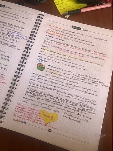  Hiperzeka içi dolu defter