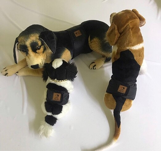 L beden erkek köpek çiş bel bandı