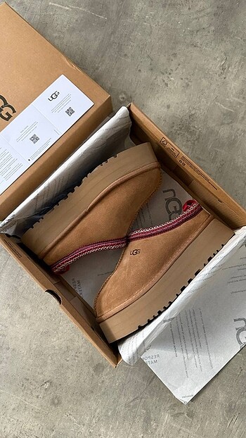 UGG TAZZ