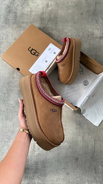 Ugg tazz