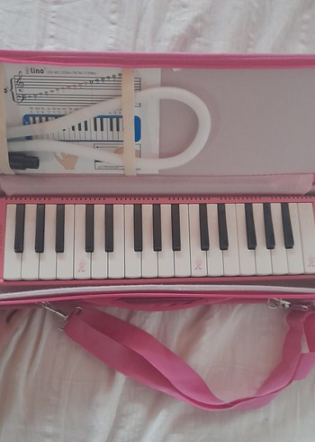 Pembe melodika - Görsel 4