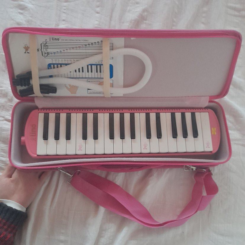 Pembe melodika - Görsel 4