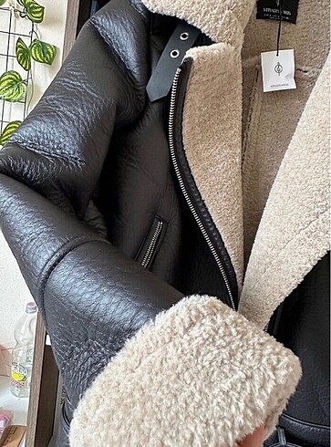 Stradivarius Stradivarius mont