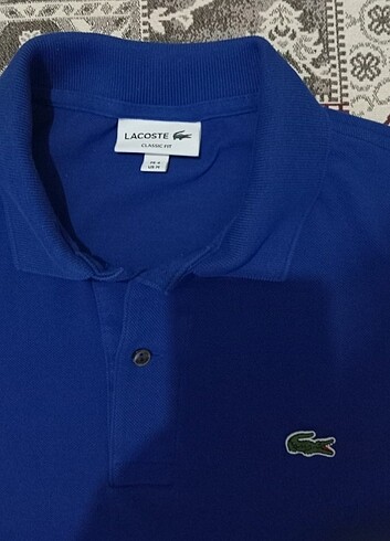 m Beden Orijinal Lacoste polo yaka erkek t-shirt