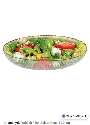 Diğer Cam salata kasesi