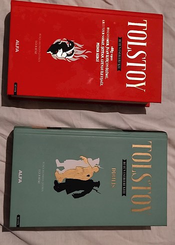 Tolstoy Bütün Eserleri 18 kitap - Görsel 5