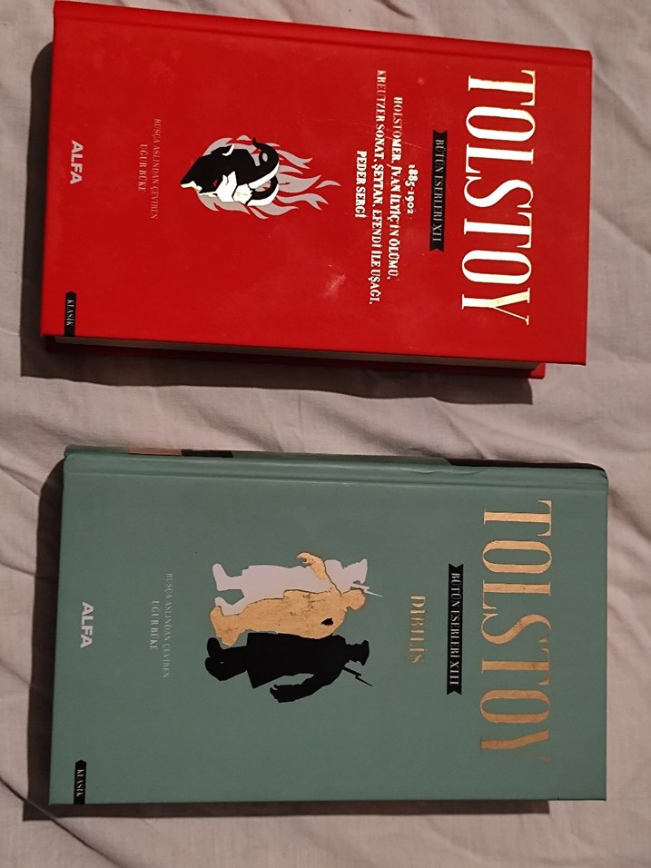 Tolstoy Bütün Eserleri 18 kitap - Görsel 5