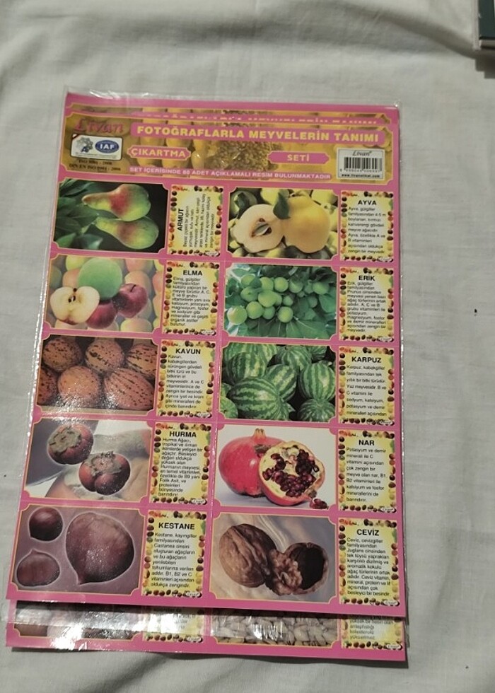 fotoğraflarla meyvelerin tanımı çıkartma - Görsel 2