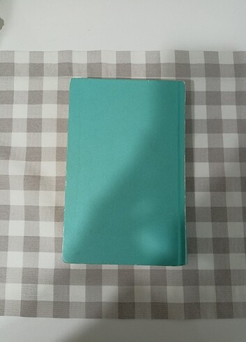Beden Renk Kitap Roman