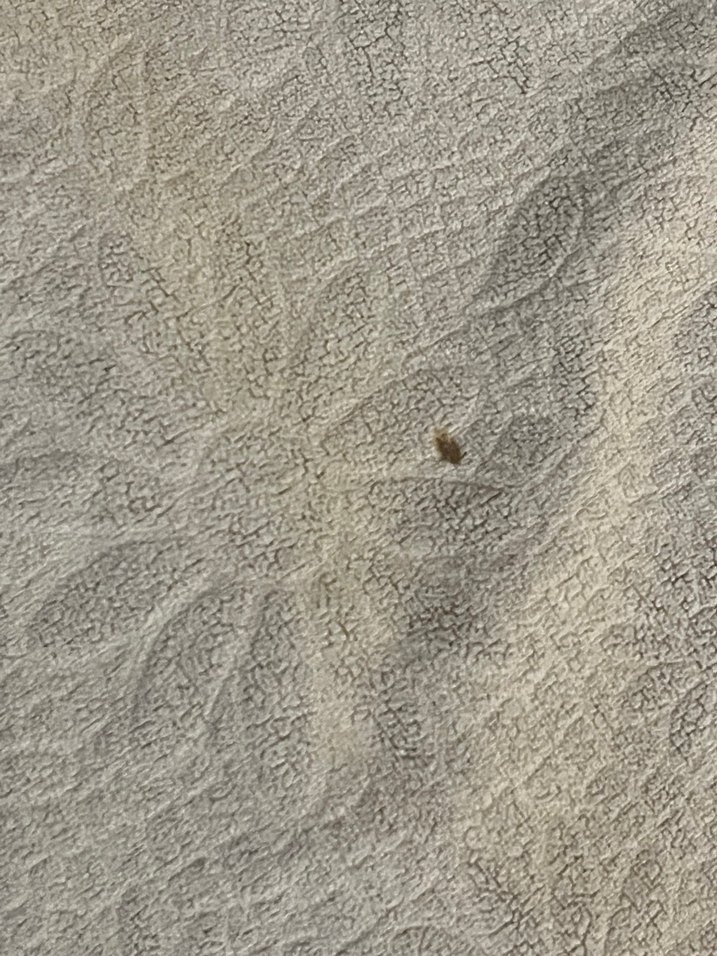 Bej krem karışımı Çiçek Desenli Yatak koltuk Örtüsü - Görsel 5