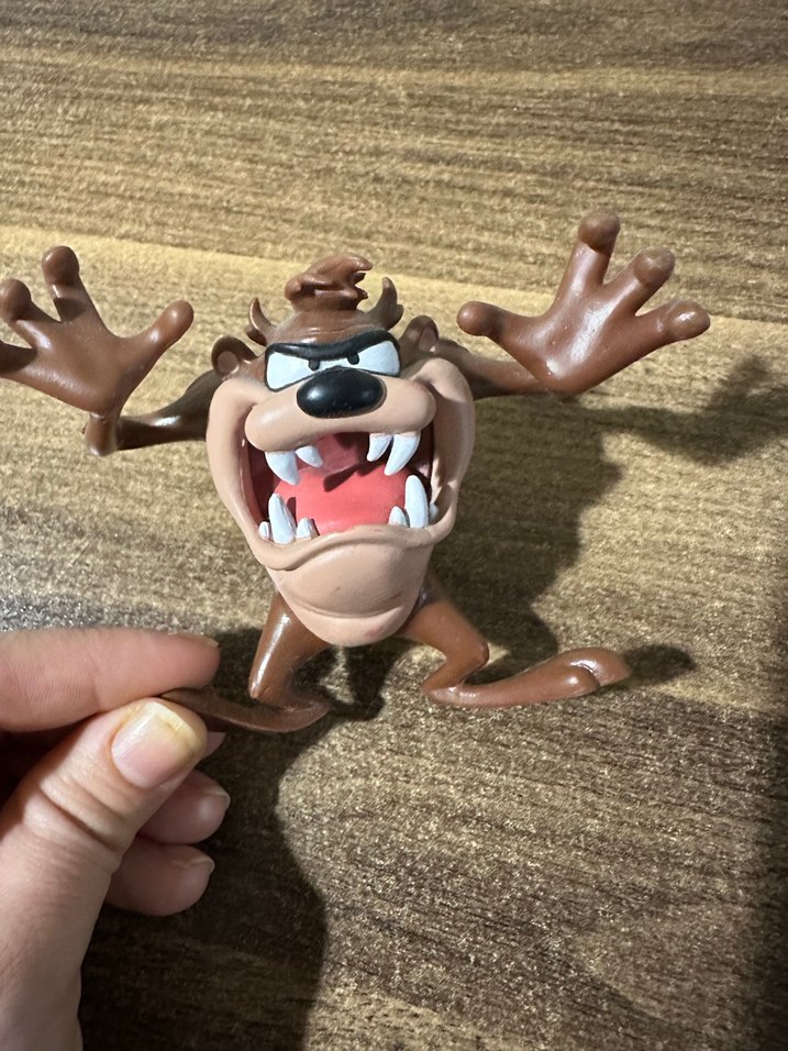 Tazmanya Canavarı - Görsel 4