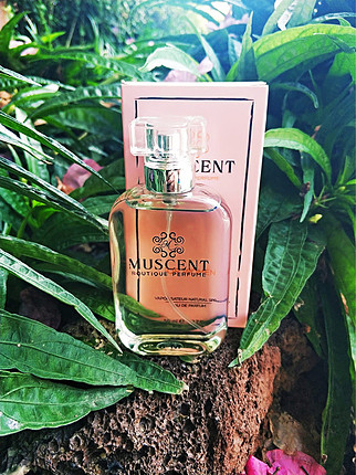 1 adet 50 ml