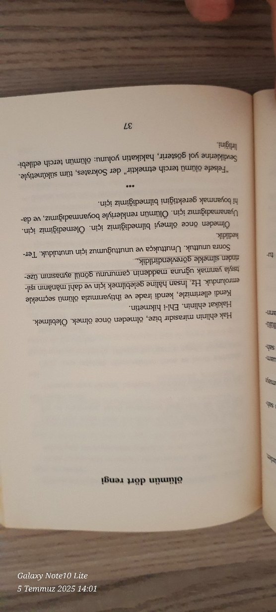 Ölümün Dört Rengi - Dücane Cündioğlu - Görsel 3