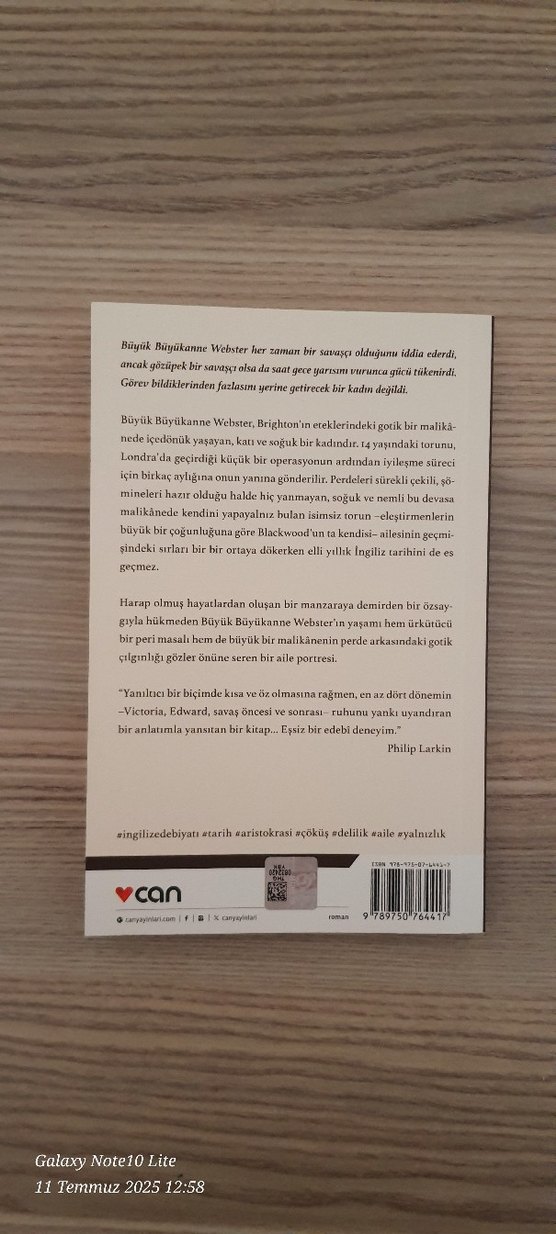 Büyük Büyükanne Webster - Caroline Blackwood - Görsel 2