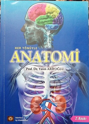 Anatomi 