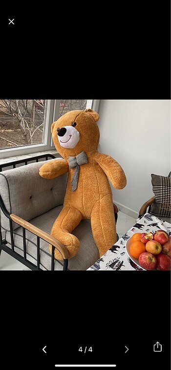 Peluş ayı