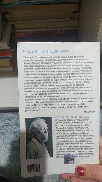  Beden Renk Sineklerin tanrısı 