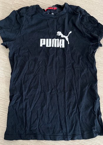 Puma s