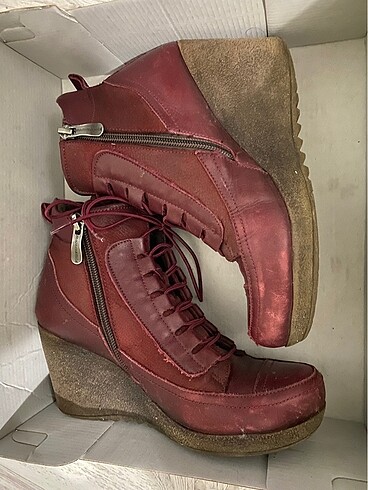 36 Beden Bordo Bot