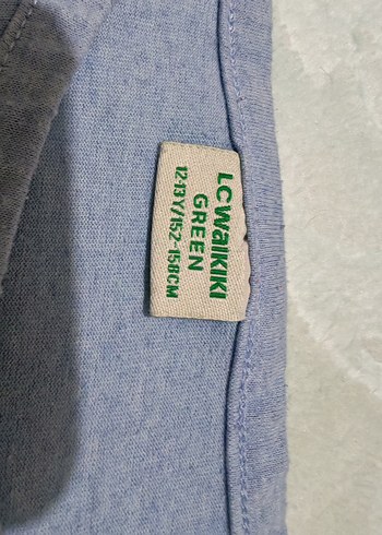 Baskılı T-Rex Dinozor Desenli Gri Hamile Tişörtü - Görsel 2