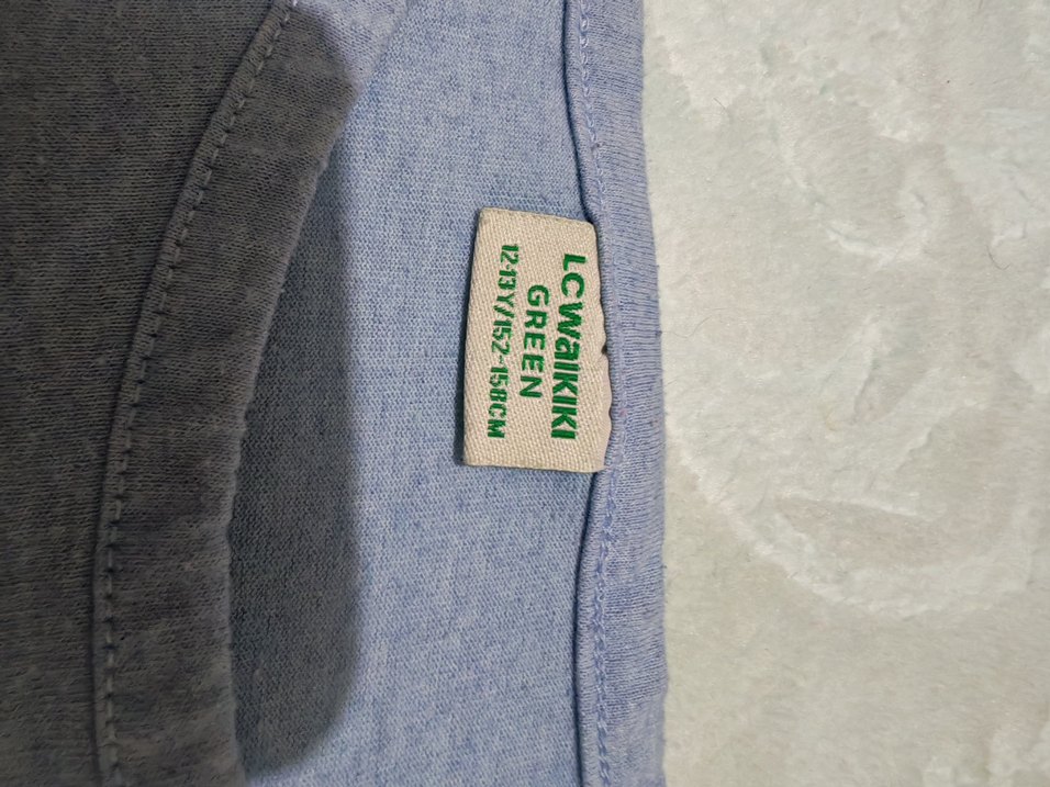 Baskılı T-Rex Dinozor Desenli Gri Hamile Tişörtü - Görsel 2