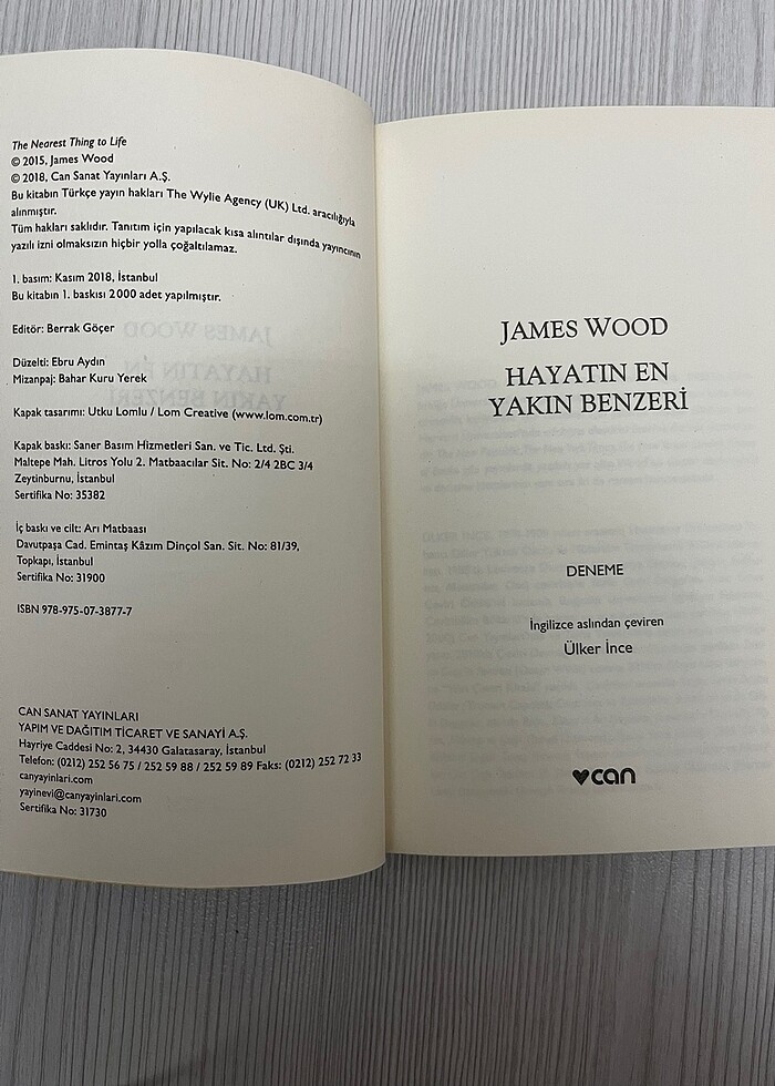 Hayatın En Yakın Benzeri - James Wood - Görsel 3