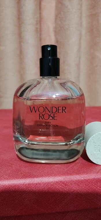 Zara Zara wonder rose day collection 01 