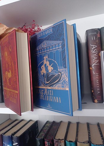 Ekin S. Koch Roman Kitap Seti