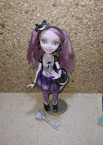 kitty cheshire