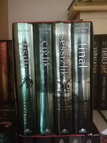 Hush hush serisi
