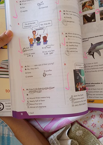 Tonguç 7. Sınıf Dinamo İngilizce Soru Bankası - Görsel 3