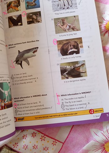 Tonguç 7. Sınıf Dinamo İngilizce Soru Bankası - Görsel 4