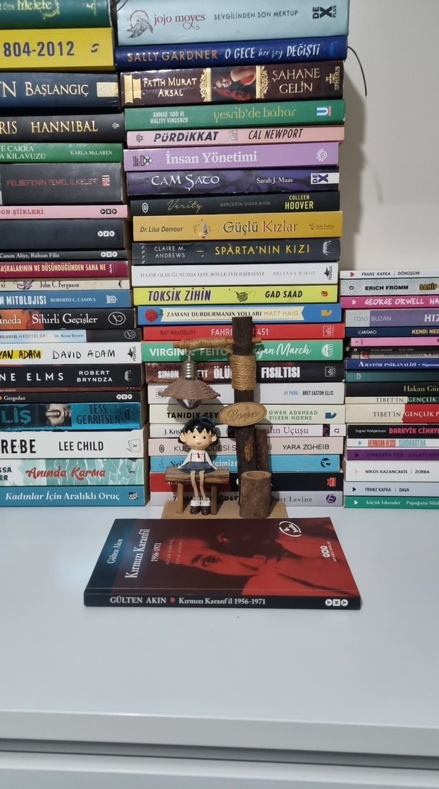 Kırmızı Karanfil 1956-1971 / Gülten Akın - Görsel 4