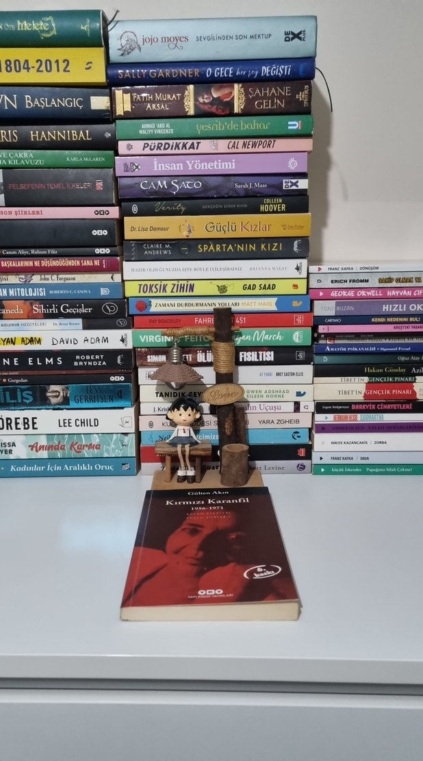 Kırmızı Karanfil 1956-1971 / Gülten Akın - Görsel 3