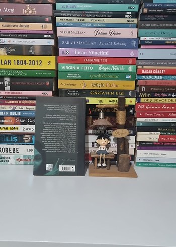 Deli Kadın Hikâyeleri / Mine Söğüt - Görsel 2