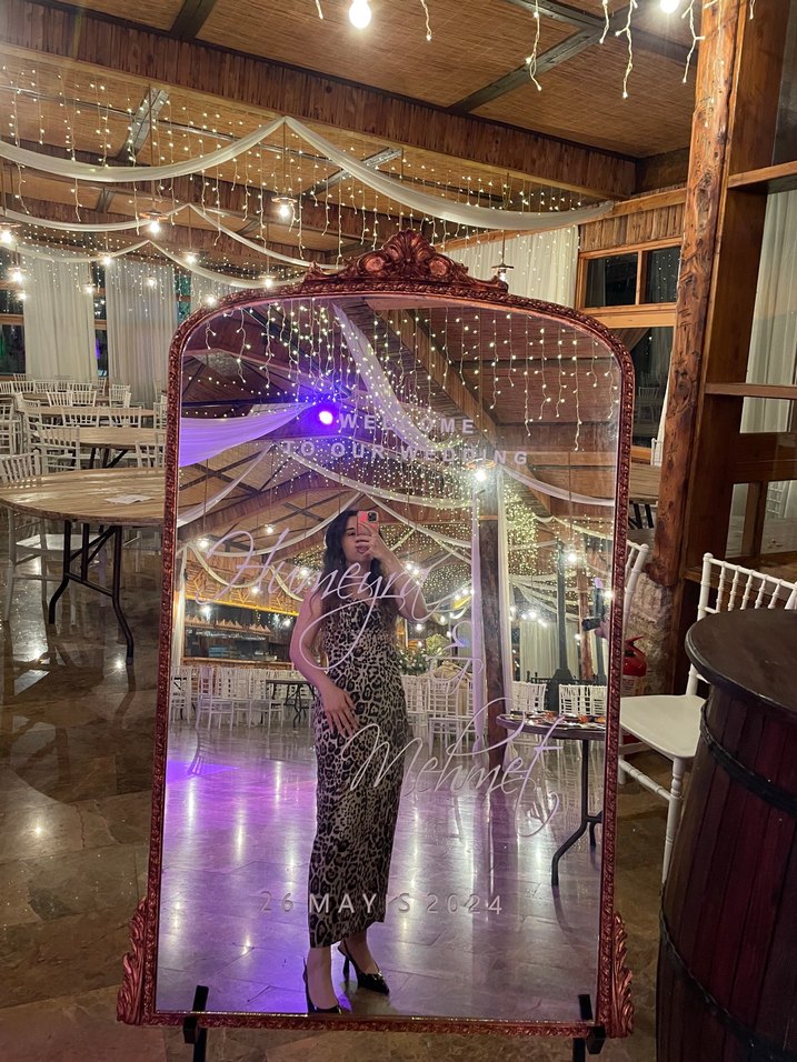 Zara Leopar Desenli Uzun Elbise - Görsel 2