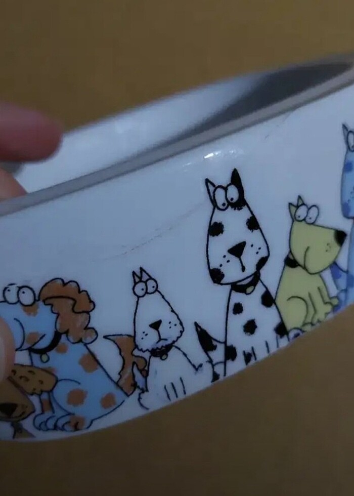 SERAMİK DESENLİ KÖPEK MAMA KABI - AZ KUSURLU - Görsel 2