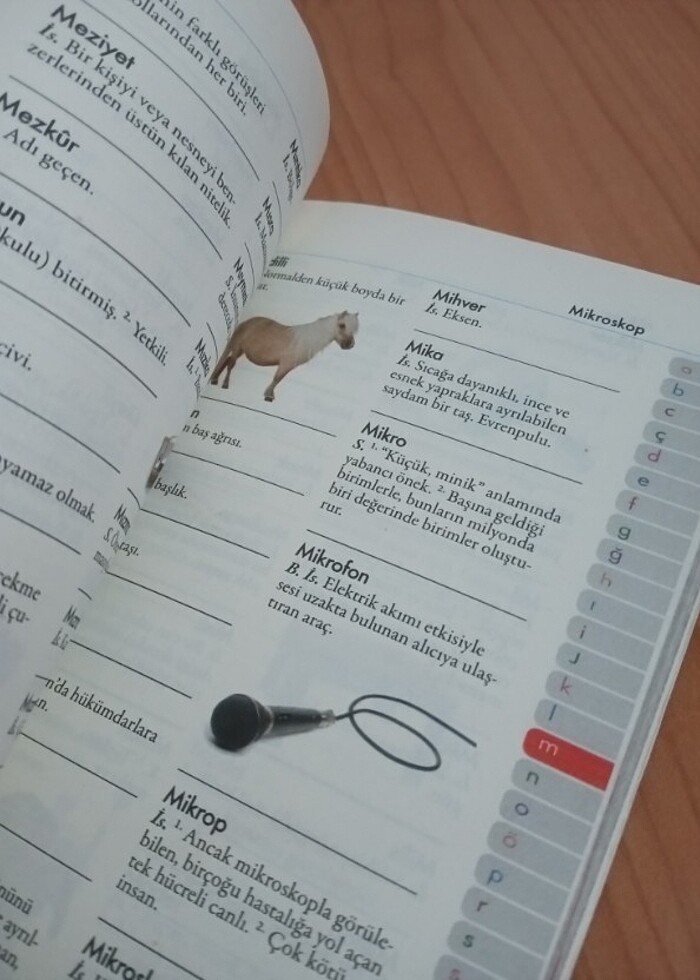 A'DAN Z'YE RESİMLİ TÜRKÇE SÖZLÜK - SIFIR SON 2 ÜRÜN - Görsel 4