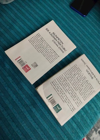 Genç Werther'in Acıları & Bilinmeyen Bir Kadının Mektubu - Görsel 2