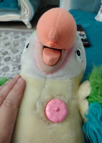 konuşan Oyuncak papağan söylediklerinizi tekrar ediyor büyük boy - Görsel 7