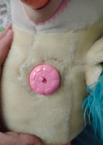 konuşan Oyuncak papağan söylediklerinizi tekrar ediyor büyük boy - Görsel 8