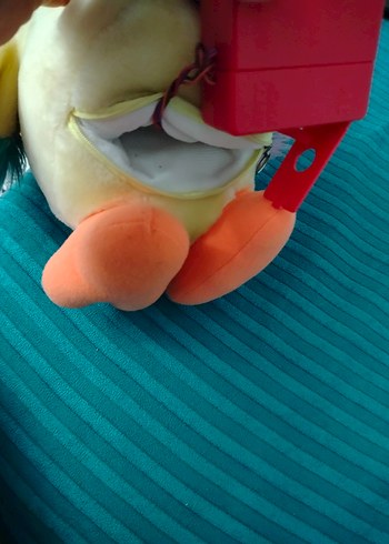 konuşan Oyuncak papağan söylediklerinizi tekrar ediyor büyük boy - Görsel 9