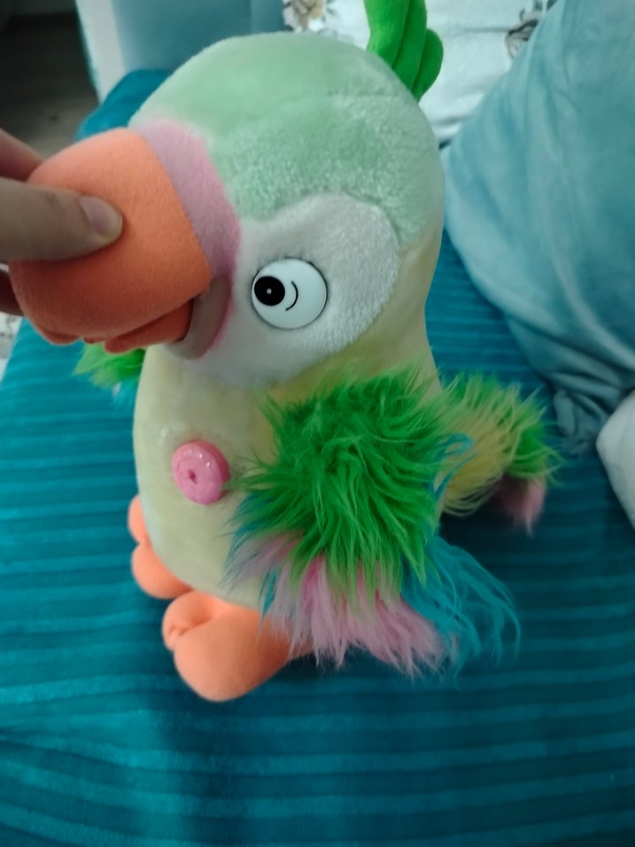 konuşan Oyuncak papağan söylediklerinizi tekrar ediyor büyük boy - Görsel 2